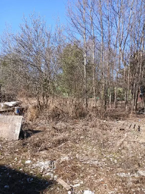 Продается участок в д. Осоргино - Фото 2