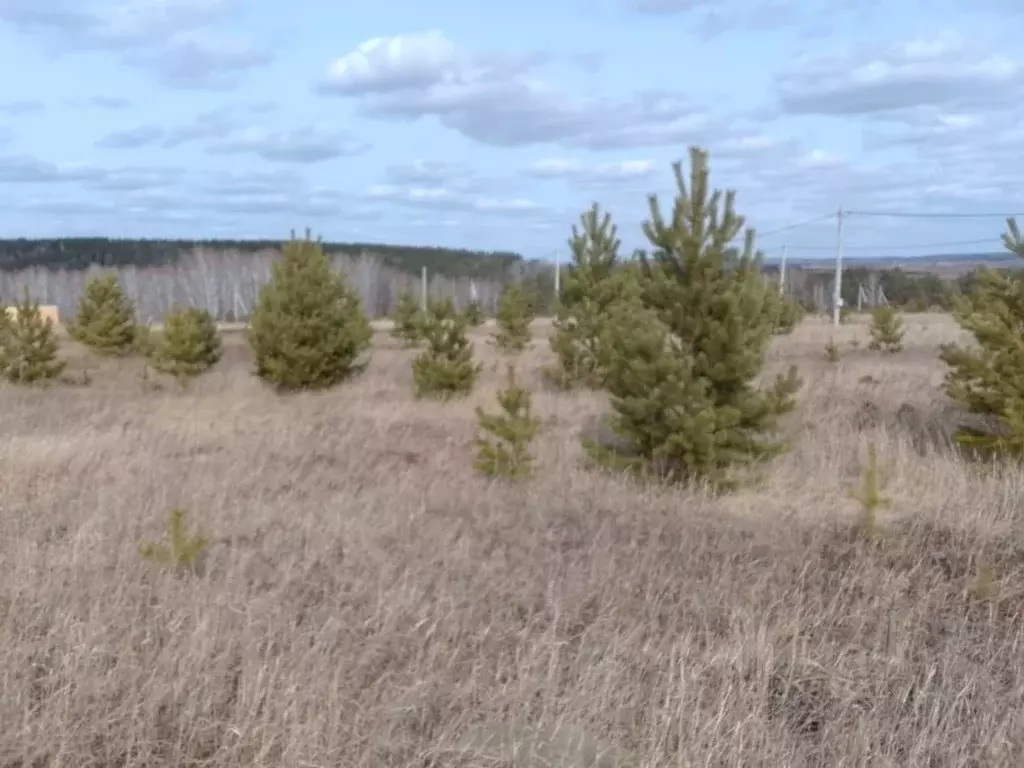Участок в Красноярский край, Емельяново пгт ул. 7-я Долинная, 7 (15.0 ... - Фото 1
