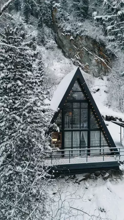 Дом в Алтай, Турочакский район, с. Артыбаш Телецкая ул., 128Б (67 м) - Фото 1