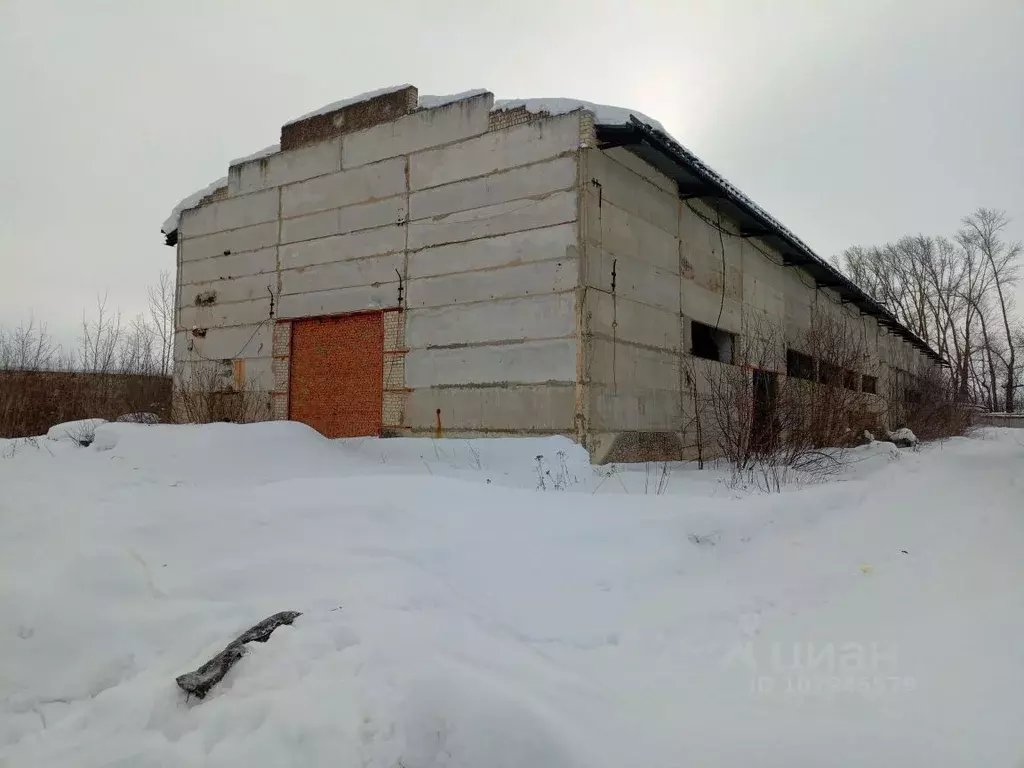 Производственное помещение в Мордовия, Саранск городской округ, Ялга ... - Фото 1