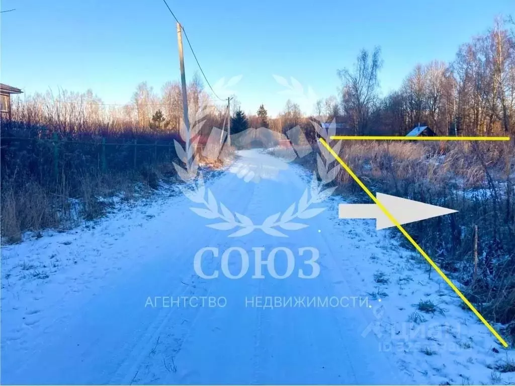 Участок в Калужская область, Село Ферзиково с/пос, д. Елькино  (20.0 ... - Фото 2