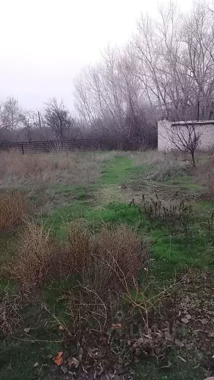 Участок в Волгоградская область, Среднеахтубинский район, Фрунзенское ... - Фото 2