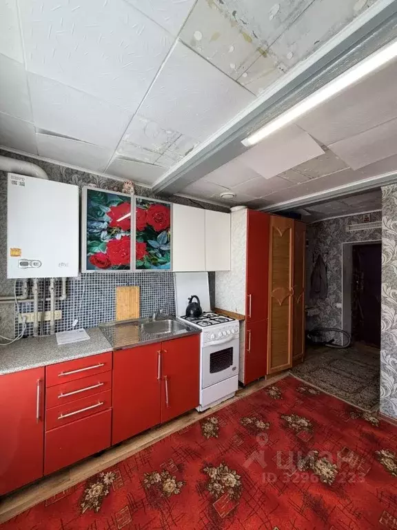 Дом в Нижегородская область, Нижний Новгород д. Зелецино, 213 (37 м) - Фото 1