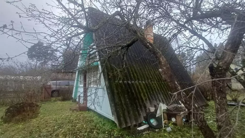 Дом в Псковская область, Псковский муниципальный округ, Ядровская ... - Фото 2