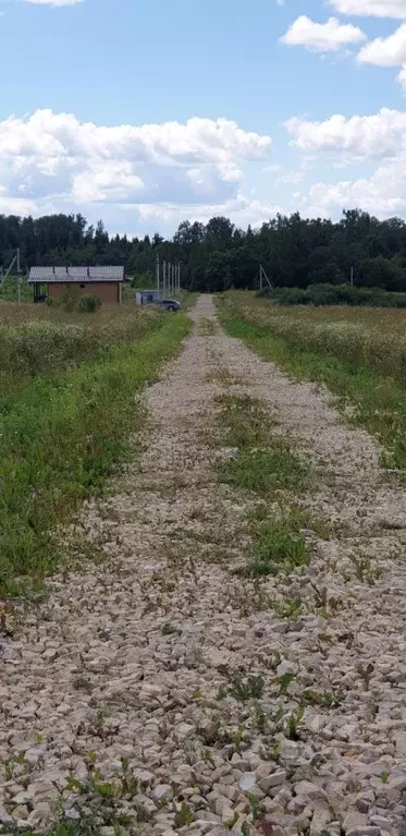 Участок в Московская область, Егорьевск муниципальный округ, д. ... - Фото 2