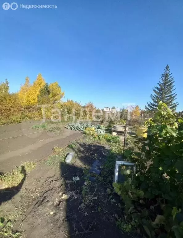 Дом в Омск, территория СОСН Полёт-2 (25 м) - Фото 0