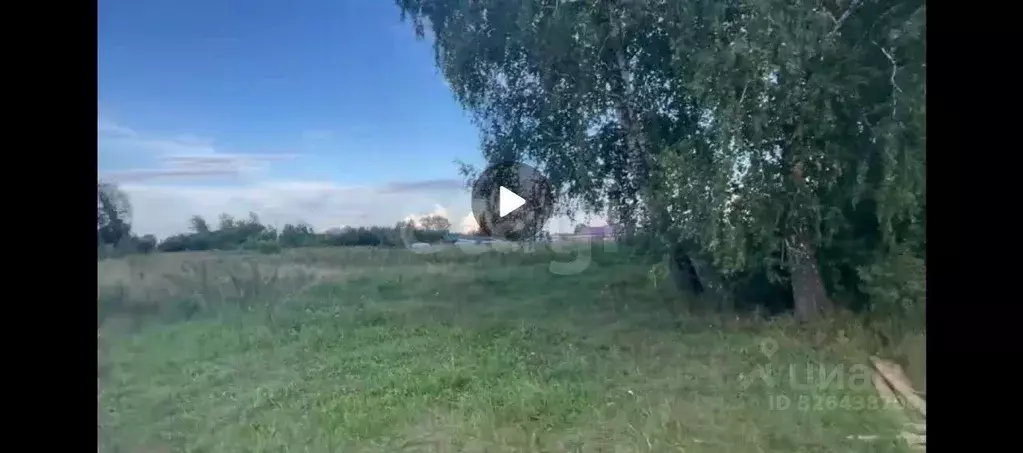 Участок в Новосибирская область, Ордынский район, с. Новопичугово ... - Фото 2