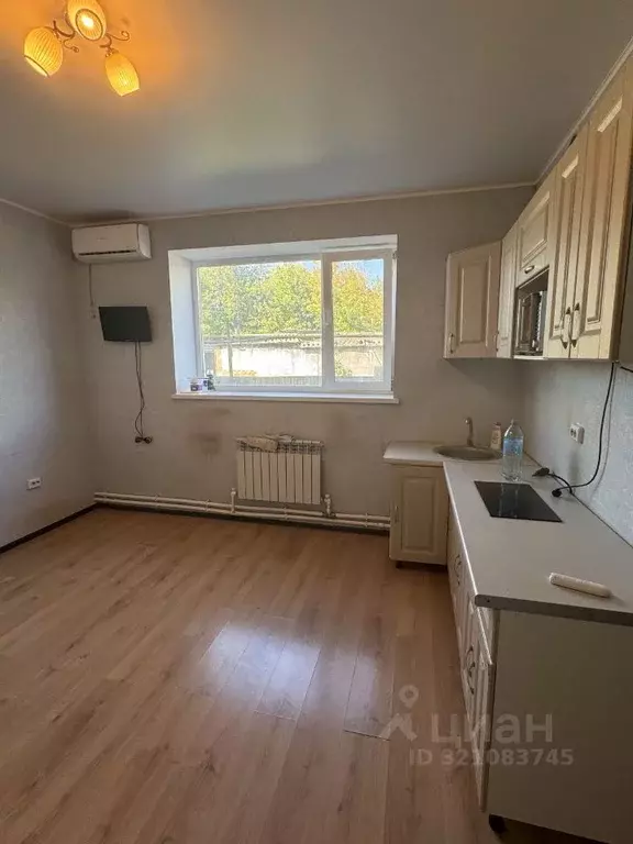 1-к кв. Оренбургская область, Оренбург проезд 1-й Восточный, 39 (30.0 ... - Фото 1