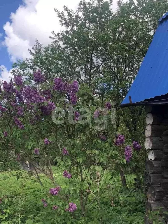 Дом в Костромская область, Костромской район, Бакшеевское с/пос, ... - Фото 1