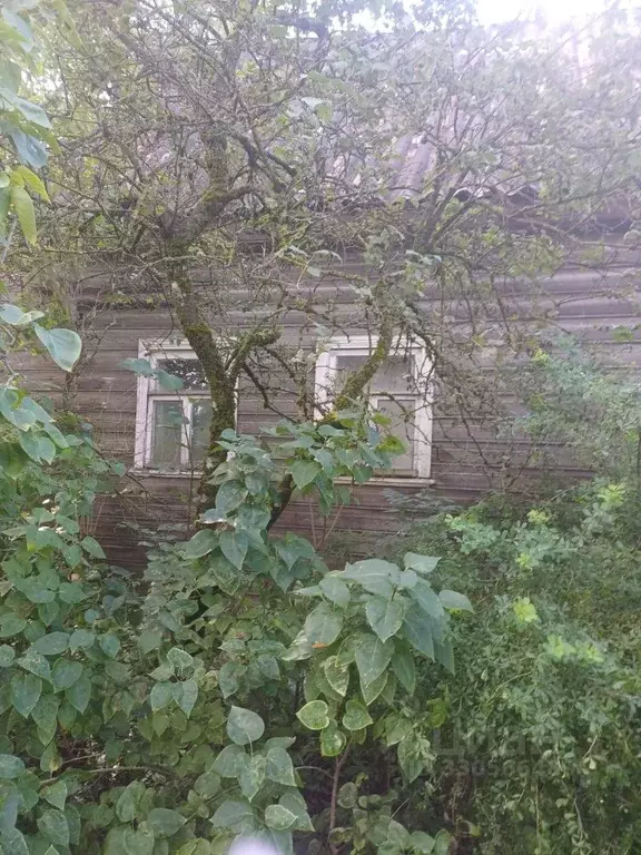 Дом в Новгородская область, Батецкий муниципальный округ, д. Теребони  ... - Фото 2