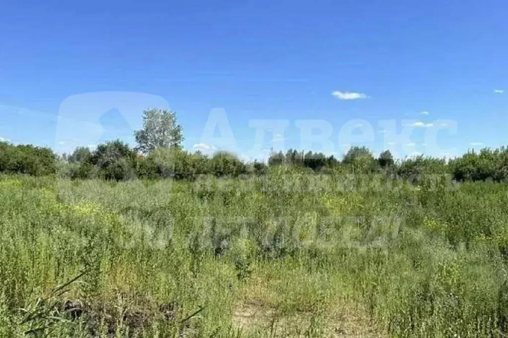 Участок в Тюменская область, Тюмень Первомайская ул. (11.0 сот.) - Фото 1