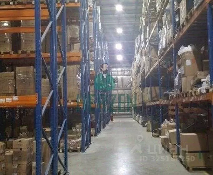 Склад в Московская область, Щелково Хотовская ул., 47 (10000 м) - Фото 2