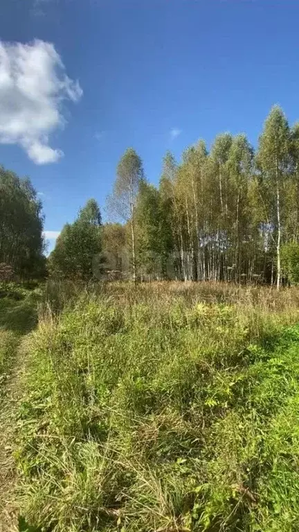 Участок в Московская область, Можайский муниципальный округ, д. Юрлово ... - Фото 2