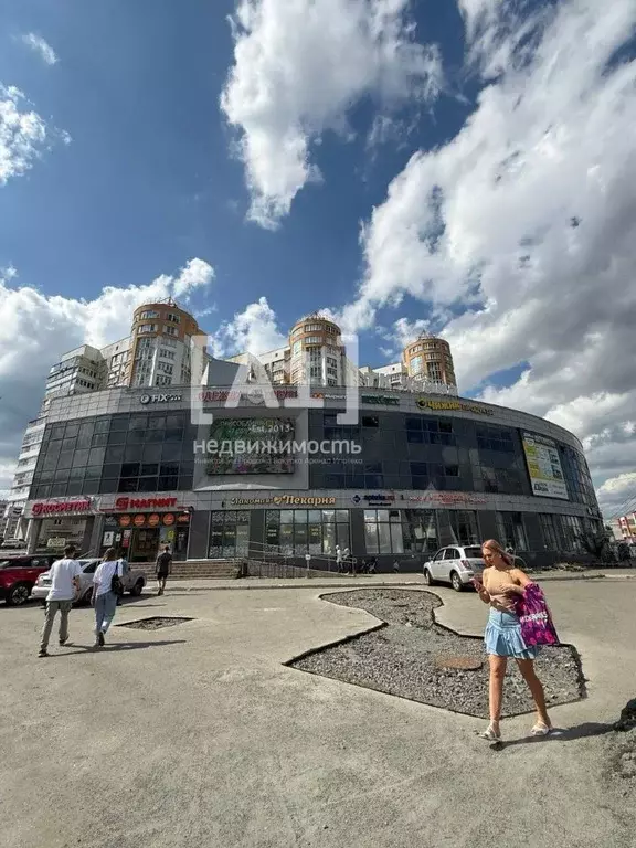 Помещение свободного назначения в Челябинская область, Челябинск ул. ... - Фото 1