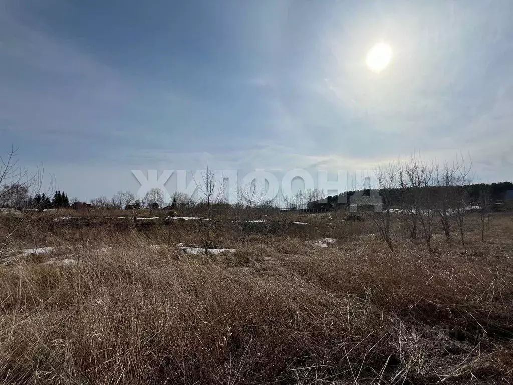 Участок в Новосибирская область, Новосибирский район, Боровской ... - Фото 1