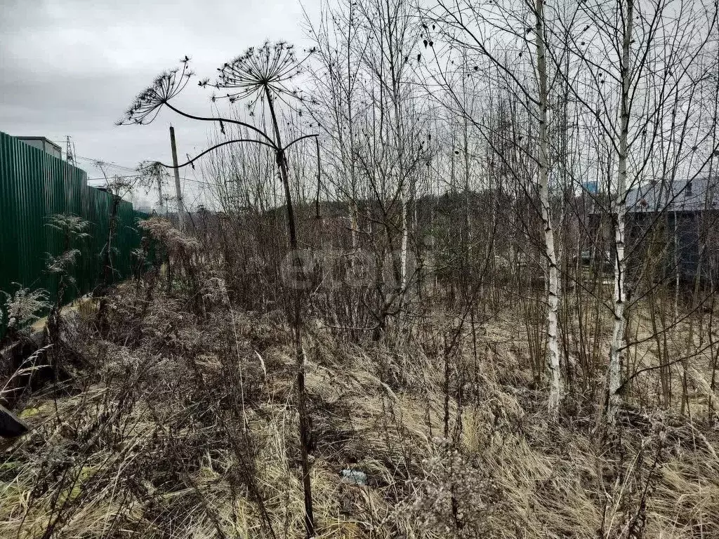 Участок в Московская область, Ленинский городской округ, д. Жабкино ... - Фото 1