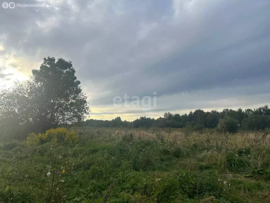 Участок в Хабаровский район, село Ракитное (20 м) - Фото 1