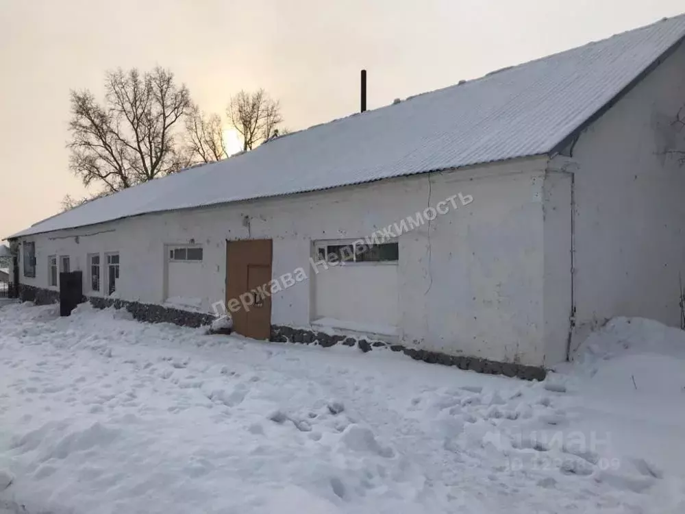 Торговая площадь в Кемеровская область, Кемерово Новоржевская ул, 1/1 . - Фото 0