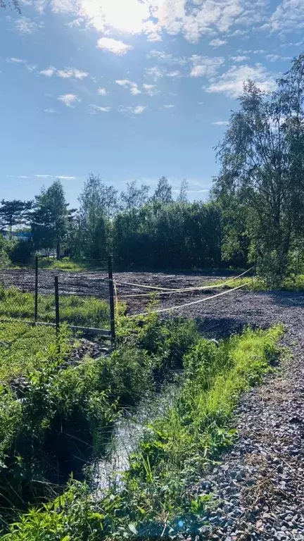 Участок в Санкт-Петербург, Санкт-Петербург, Петергоф Старый Петергоф ... - Фото 0