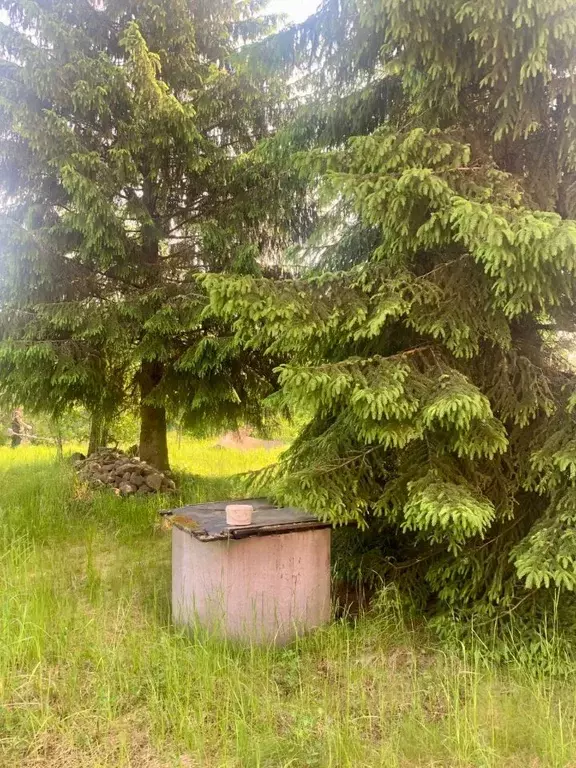Дом в Ленинградская область, Гатчинский район, Новинка садоводческий ... - Фото 0