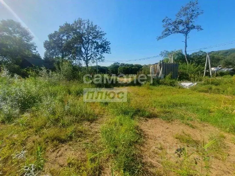 Участок в Приморский край, Хасанский муниципальный округ, с. Андреевка ... - Фото 1