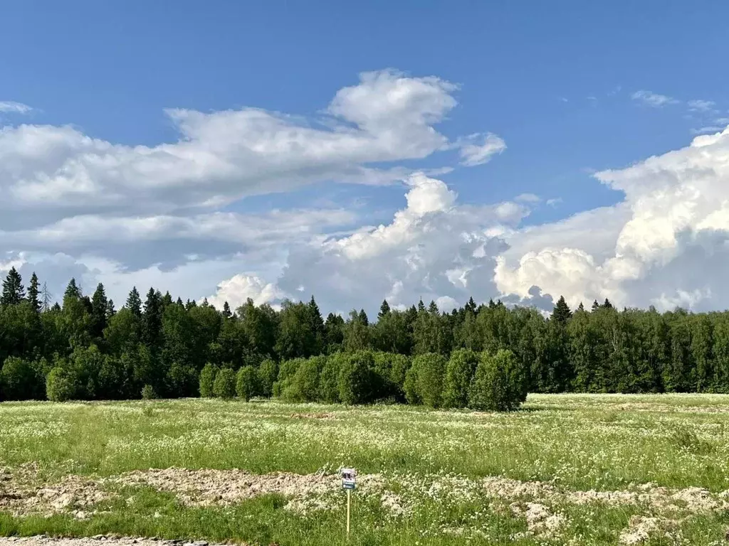 Участок в Московская область, Мытищи городской округ, д. Фелисово, ... - Фото 0