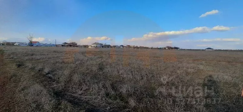 Участок в Крым, Сакский район, с. Лесновка ул. Садовая (6.0 сот.) - Фото 1