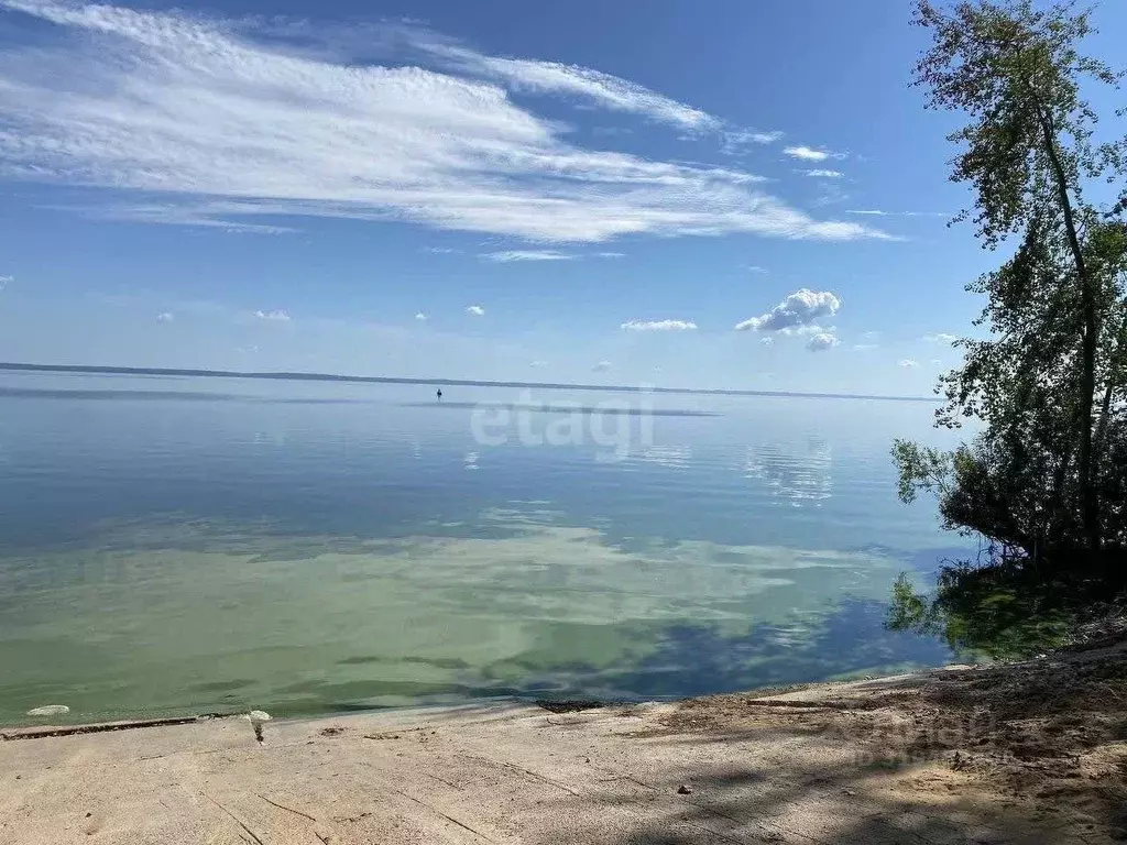 Участок в Нижегородская область, Чкаловск муниципальный округ, д. ... - Фото 0