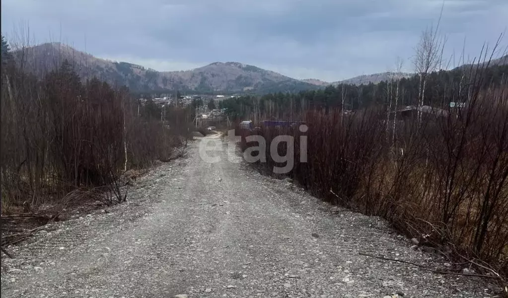 Участок в Алтай, Майминский район, Манжерокское с/пос, с. Озерное  ... - Фото 0