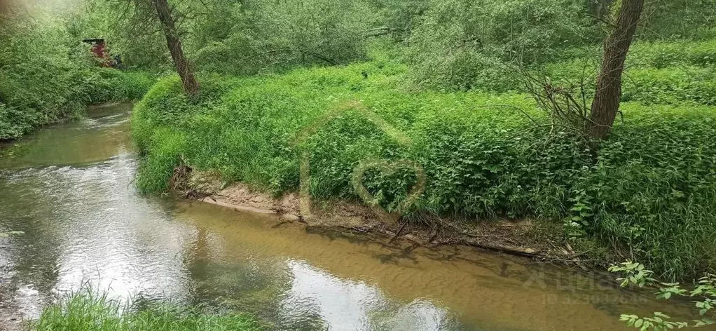 Участок в Московская область, Пушкинский городской округ, Царевское ... - Фото 2