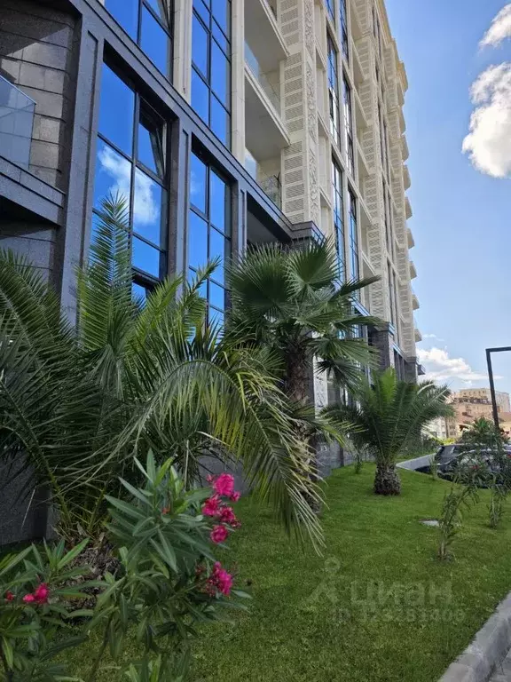 Студия Краснодарский край, Сочи ул. Полтавская, 21Ак1 (19.1 м) - Фото 1