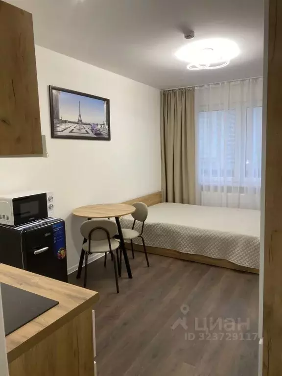 Студия Санкт-Петербург дор. Муринская, 31к3 (18.7 м) - Фото 2