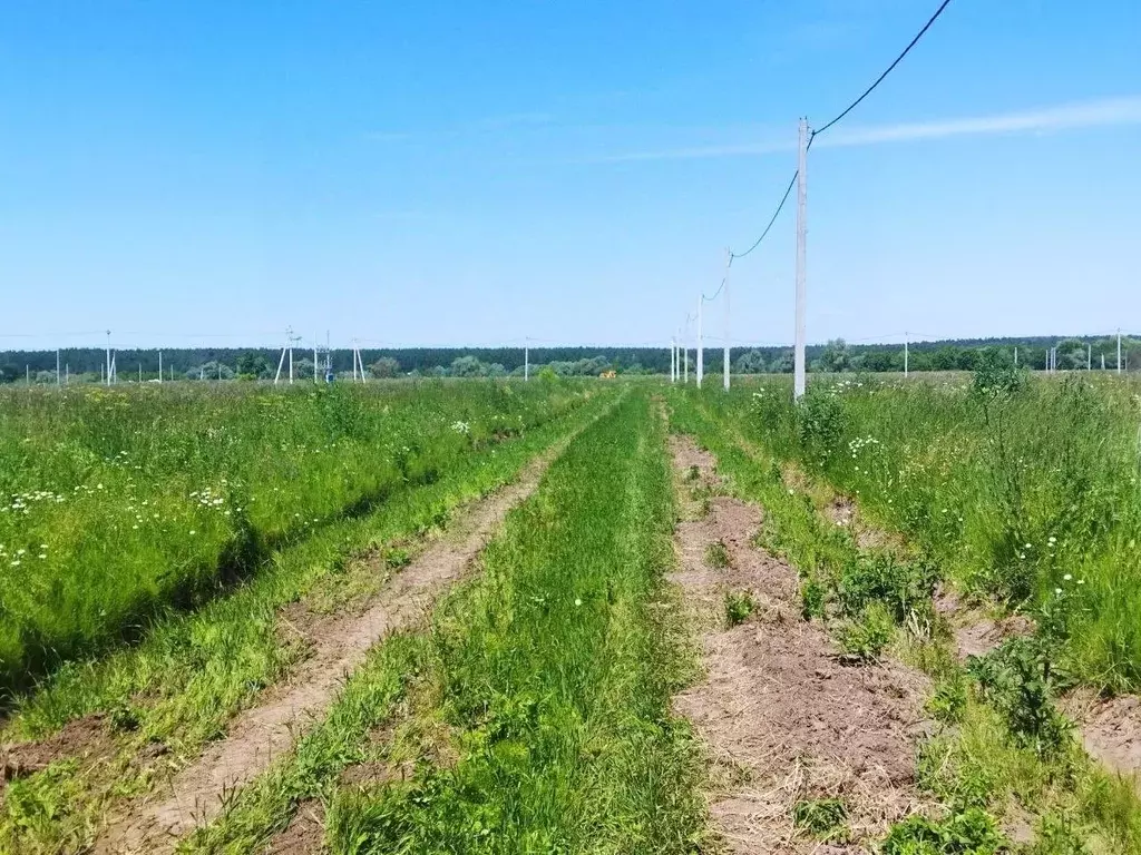 Участок в Тульская область, Ясногорский район, Иваньковское с/пос, ... - Фото 2