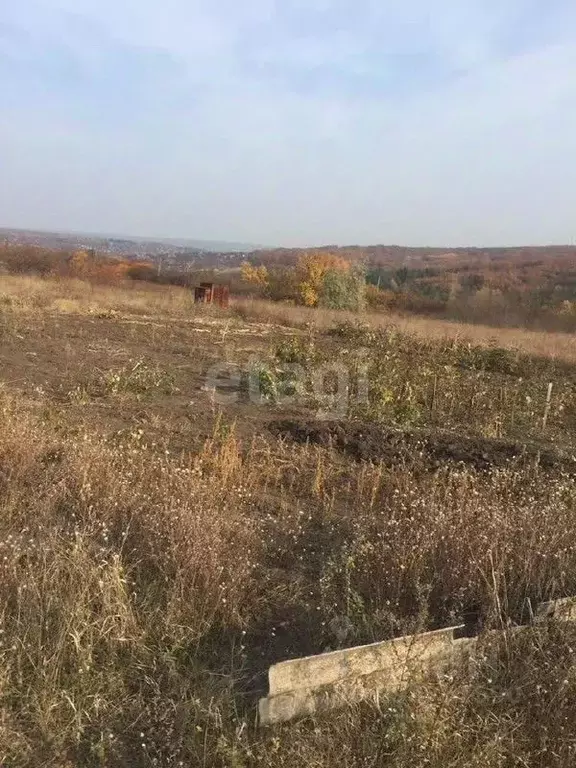 Участок в Белгородская область, Белгородский район, Стрелецкое с/пос, ... - Фото 1