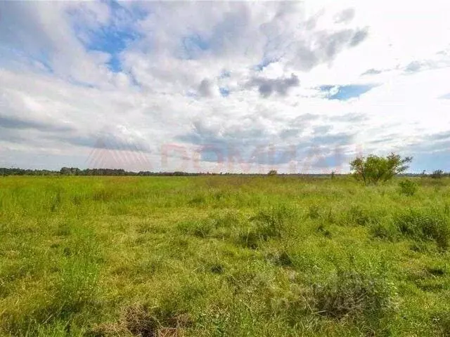 Участок в Ростовская область, Аксайский район, Мишкинская ст-ца ул. ... - Фото 1