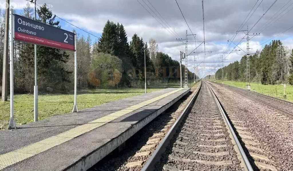 Участок в Волосовский район, Большеврудское сельское поселение, ... - Фото 0