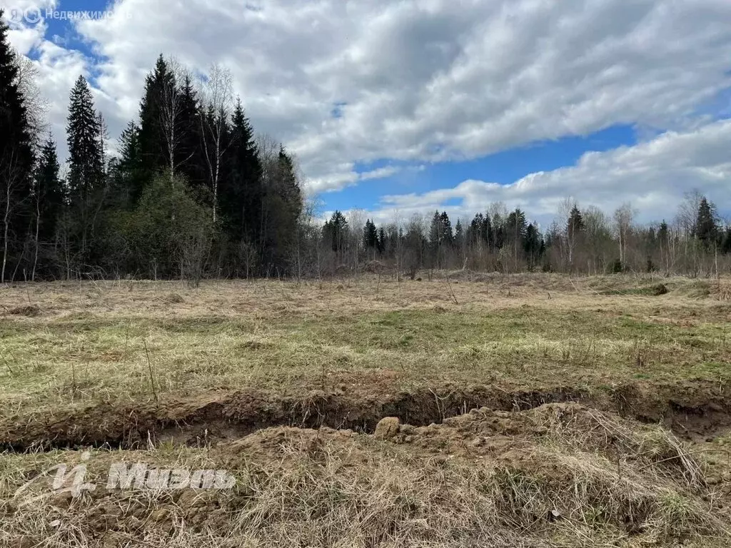 Участок в Московская область, городской округ Солнечногорск, ... - Фото 0