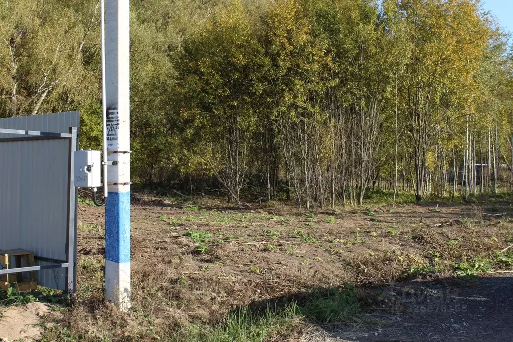 Участок в Московская область, Чехов муниципальный округ, д. Гавриково  ... - Фото 1