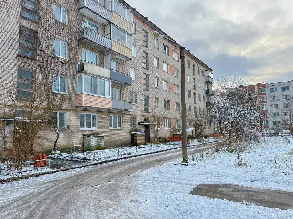 2-к кв. Ленинградская область, Лужский район, Толмачево городской ... - Фото 2