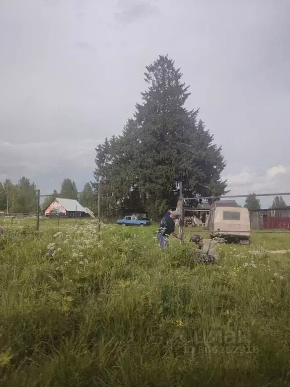 Участок в Нижегородская область, Бор городской округ, д. Журавли  (7.0 ... - Фото 0