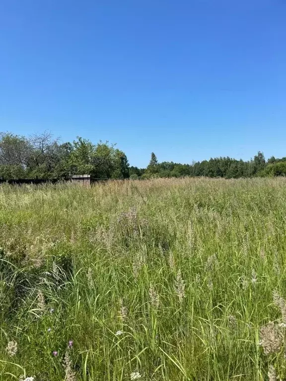 Участок в Владимирская область, Собинский муниципальный округ, д. ... - Фото 1