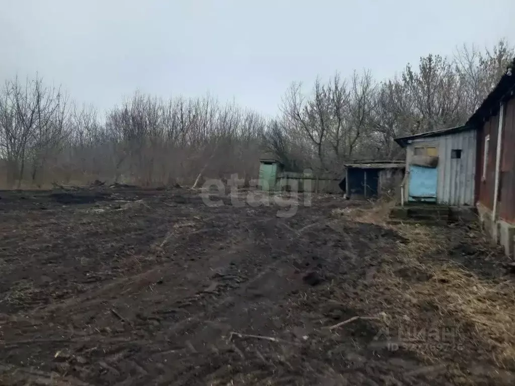 Участок в Воронежская область, Хохольский район, с. Кочетовка  (20.0 ... - Фото 1