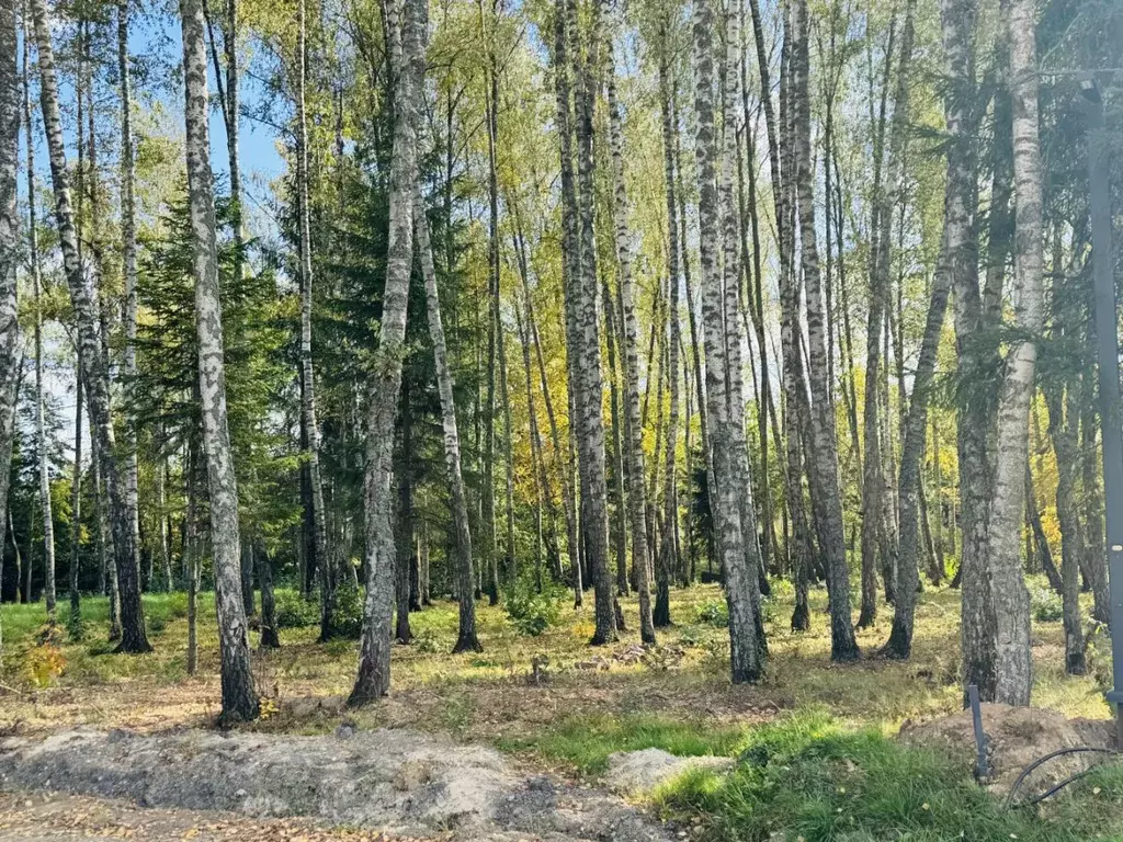 Участок в Московская область, Чехов муниципальный округ, д. Слепушкино ... - Фото 2