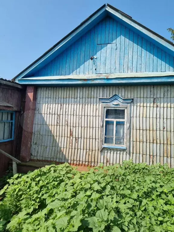 Дом 30,8 м на участке 40 сот. - Фото 0