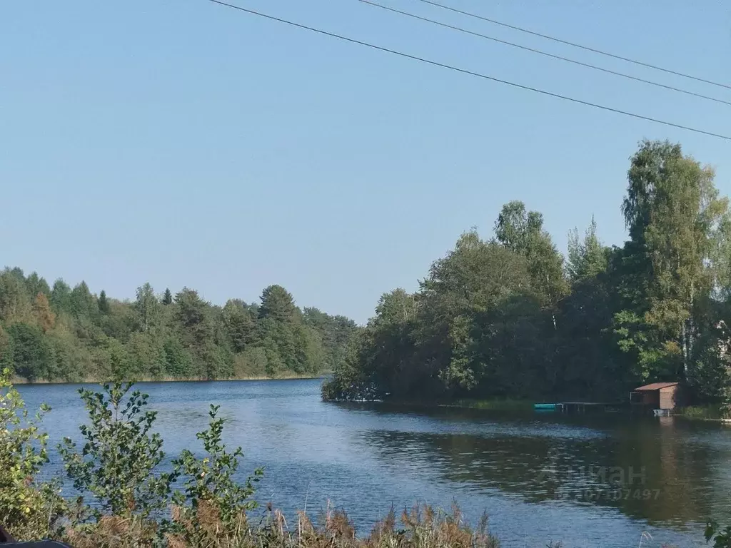 Участок в Новгородская область, Валдайский район, Едровское с/пос, д. ... - Фото 1