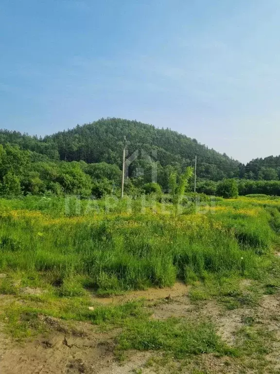 Участок в Сахалинская область, Корсаковский городской округ, с. Лесное ... - Фото 1