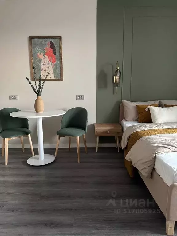 Студия Санкт-Петербург Дальневосточный просп., 19к1 (26.0 м) - Фото 0