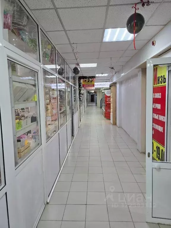 Помещение свободного назначения в Саха (Якутия), Якутск ул. Ойунского, ... - Фото 2