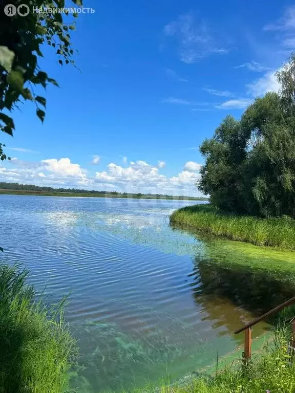 Участок в Костромской район, Бакшеевское сельское поселение, НСТ ... - Фото 0