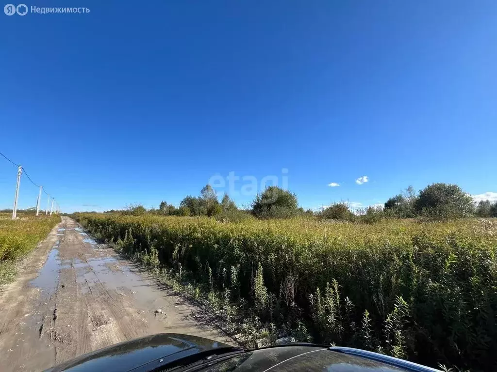 Участок в Калининградская область, Гурьевский муниципальный округ, ... - Фото 1